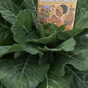 Black Girl Garden Magic Coloring Book