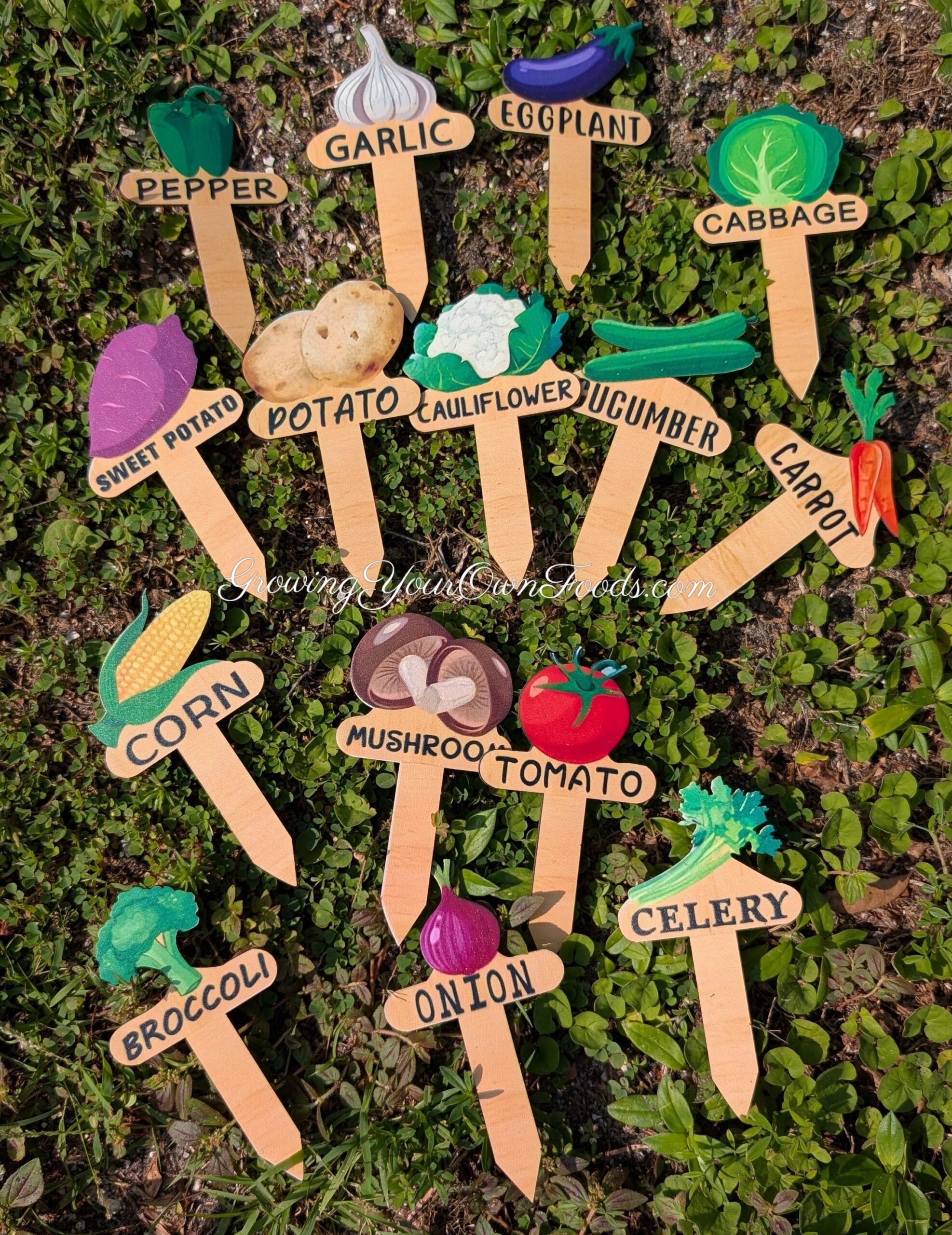 Decorative Gardening Plant Labels – Growing Your Own Foods